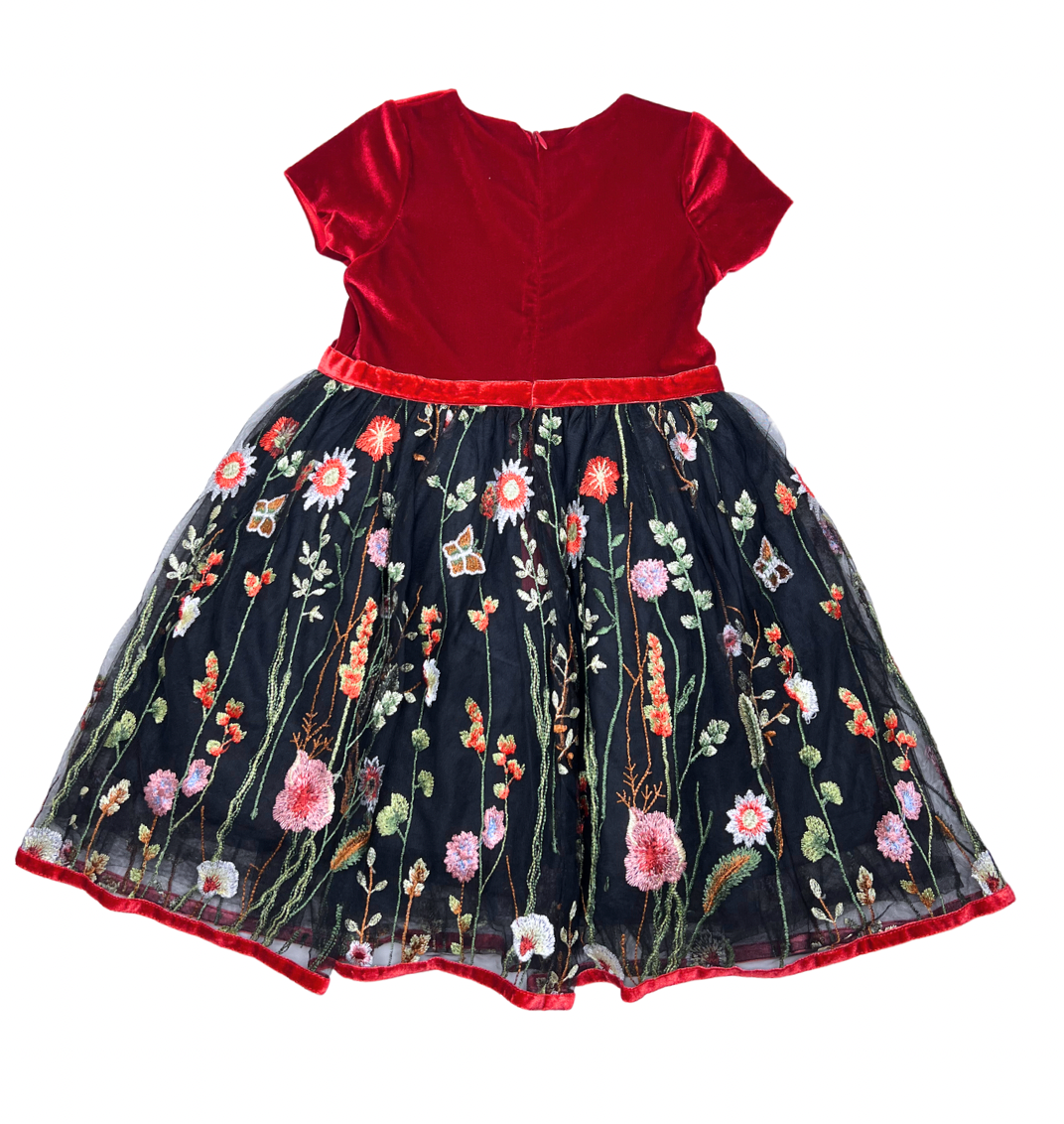 GOOSE - Robe velours et tulle à broderies fleurs - 3/4 ans