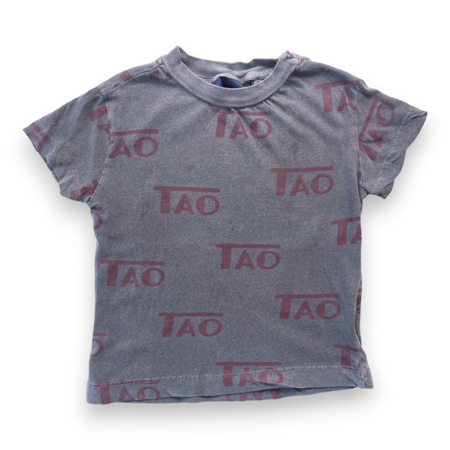 THE ANIMALS OBSERVATORY - T shirt gris "TAO" - 4 ans