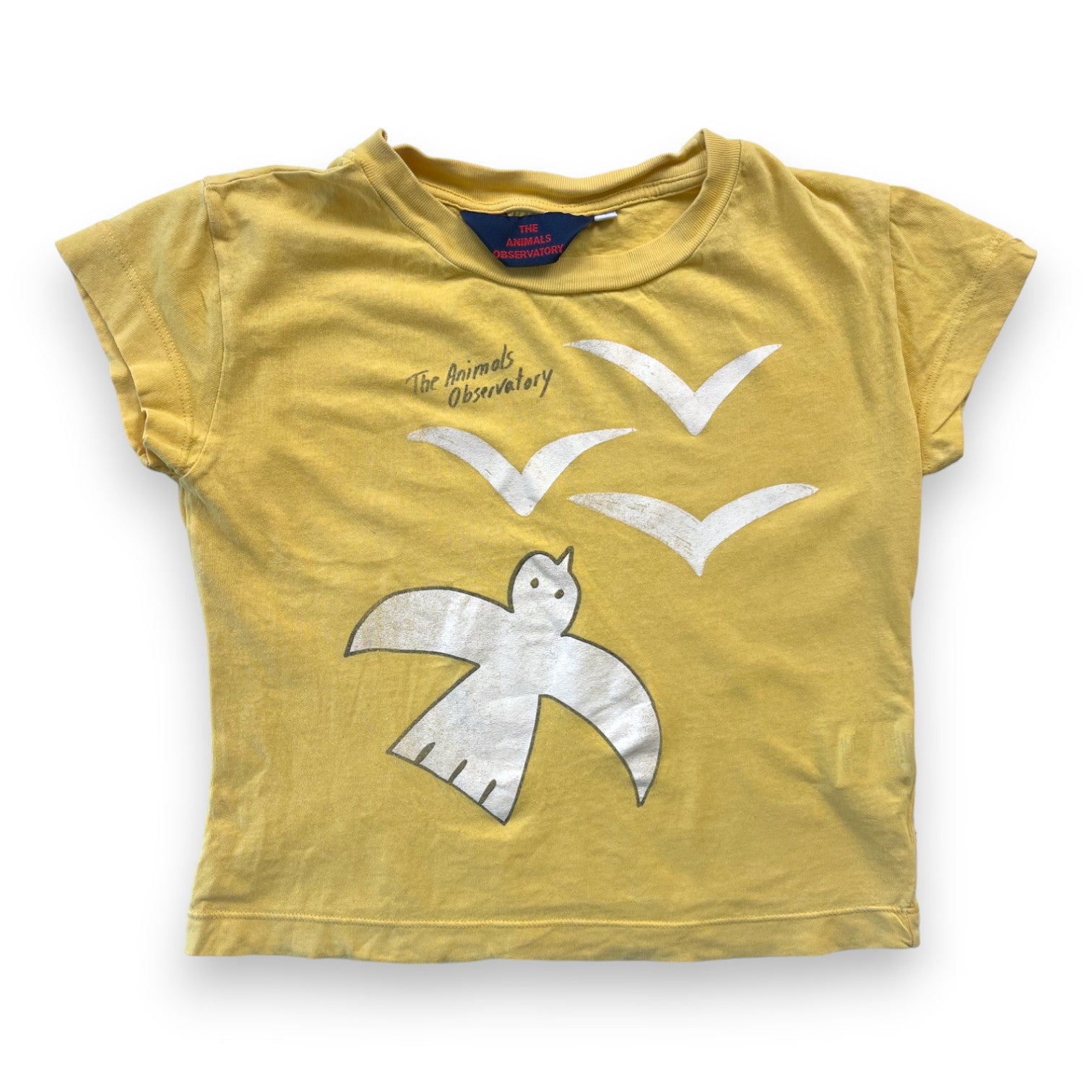 THE ANIMALS OBSERVATORY - T shirt jaune mouettes - 4 ans