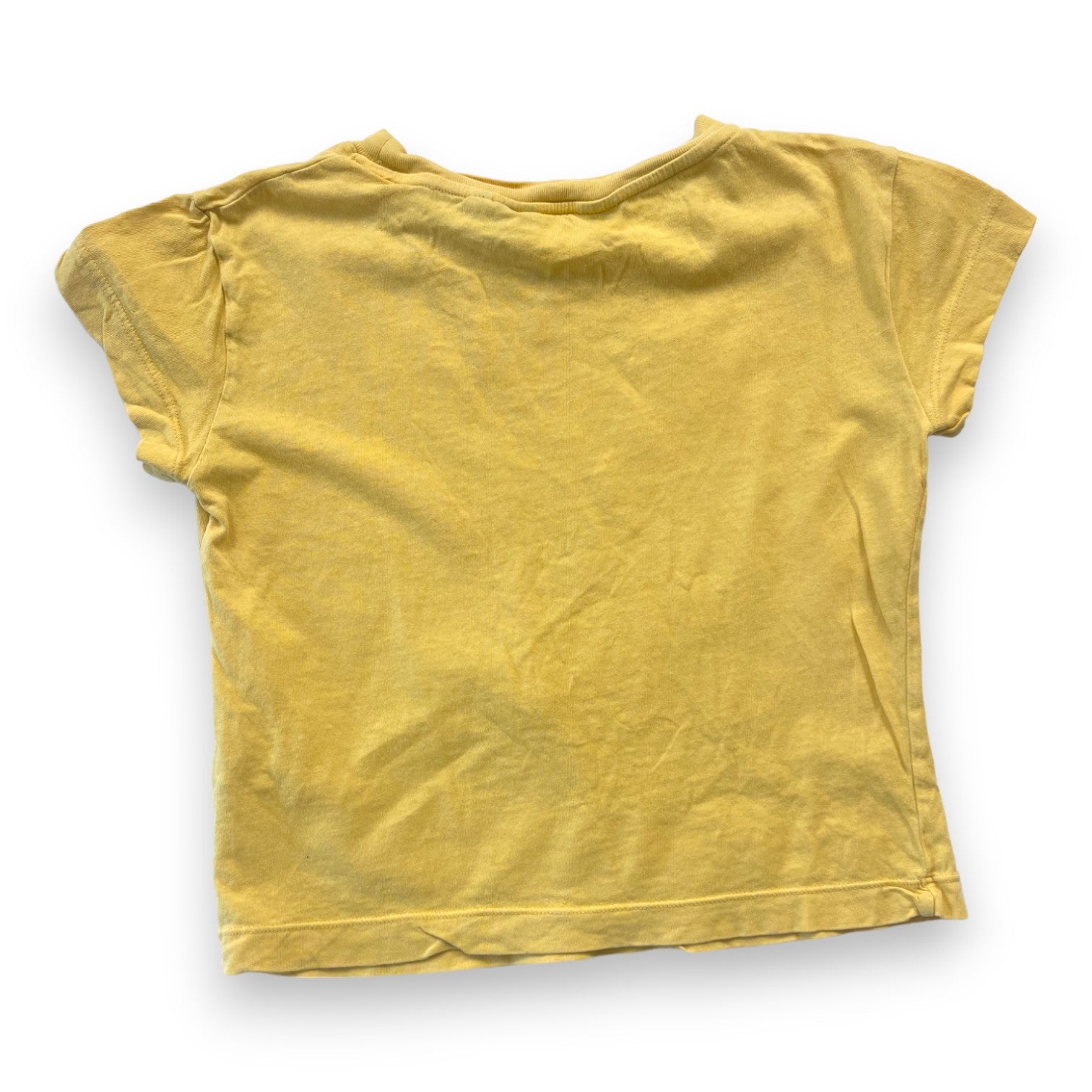 THE ANIMALS OBSERVATORY - T shirt jaune mouettes - 4 ans