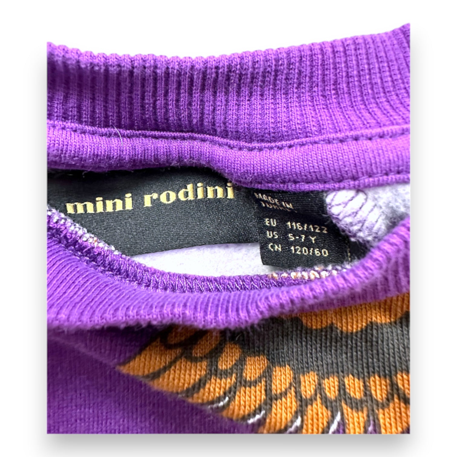 MINI RODINI - Sweat violet imprimé canards - 5 ans