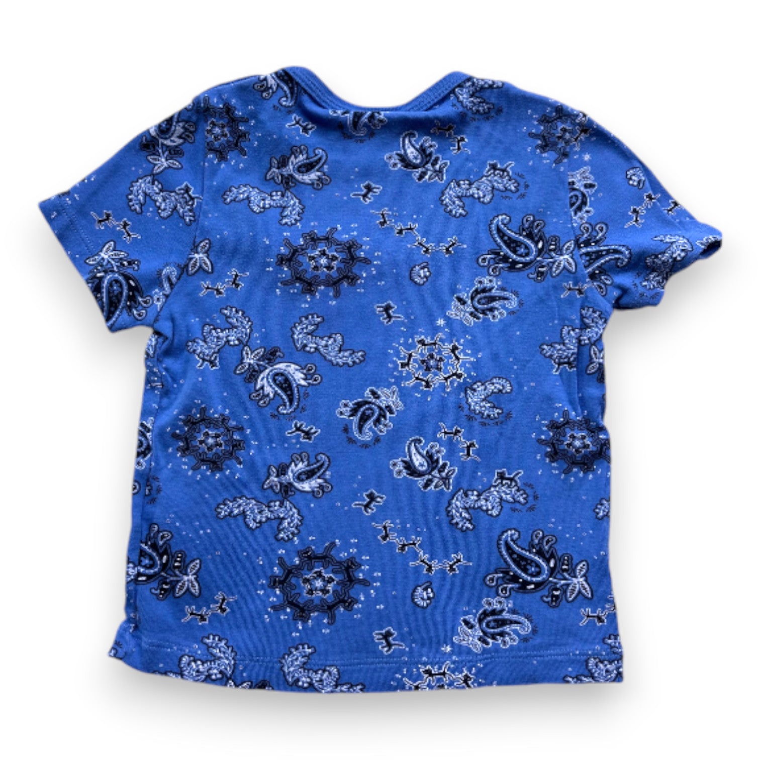 PETIT BATEAU - T-shirt bleu avec motifs - 2 ans